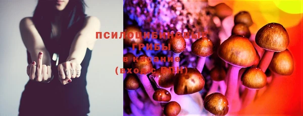 мескалин Мегион