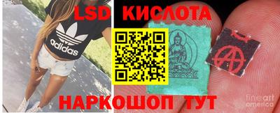 герыч Камышлов