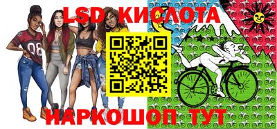 прущие грибы Кингисепп