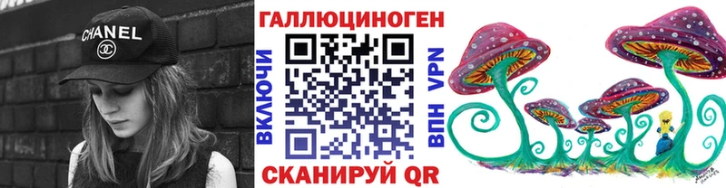 Галлюциногенные грибы Cubensis Усть-Джегута