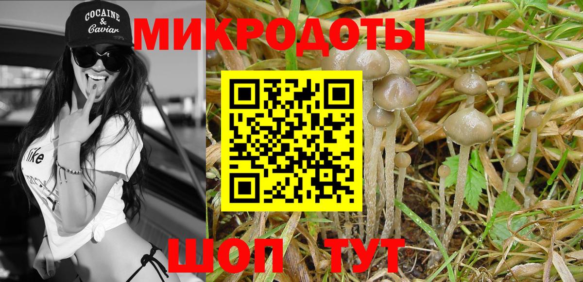 Псилоцибиновые грибы Psilocybine cubensis  Вход с VPN  Псилоцибиновые грибы мухоморы  Усть-Джегута 
